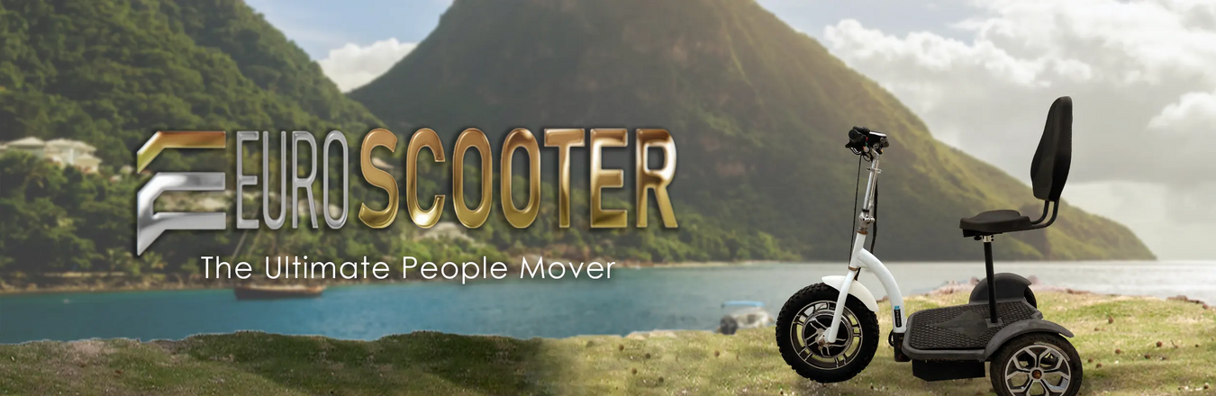 Euro Scooter Accessories